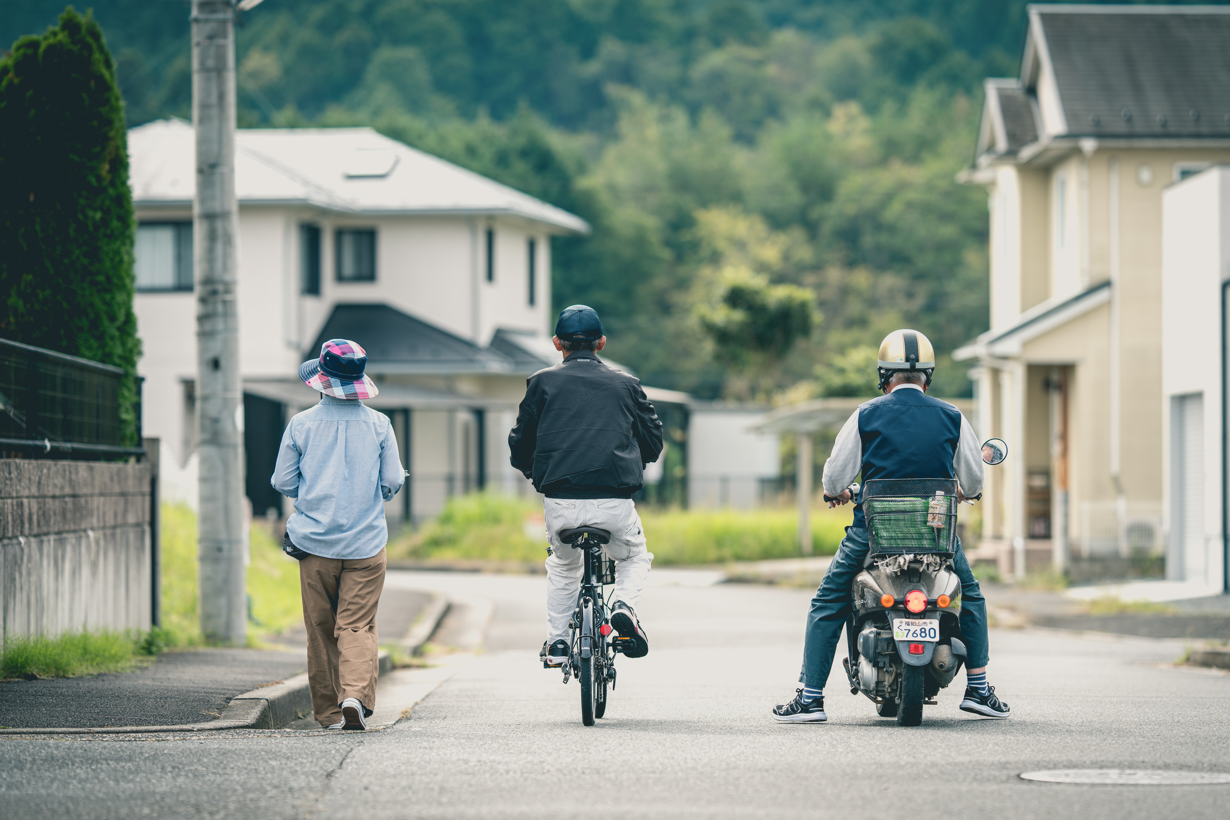 配布定期便